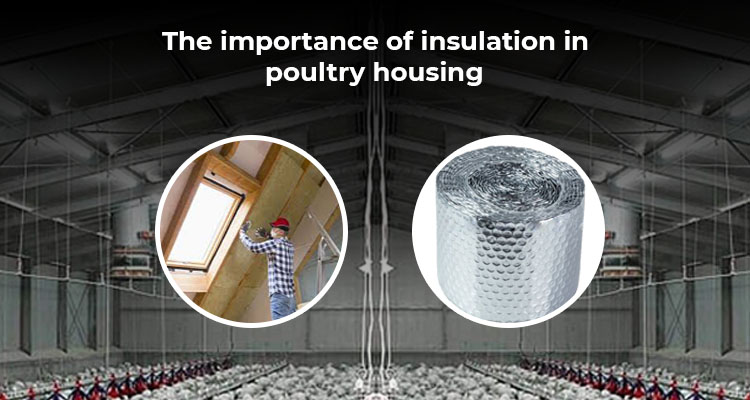The Importance of Insulation in Poultry Housing