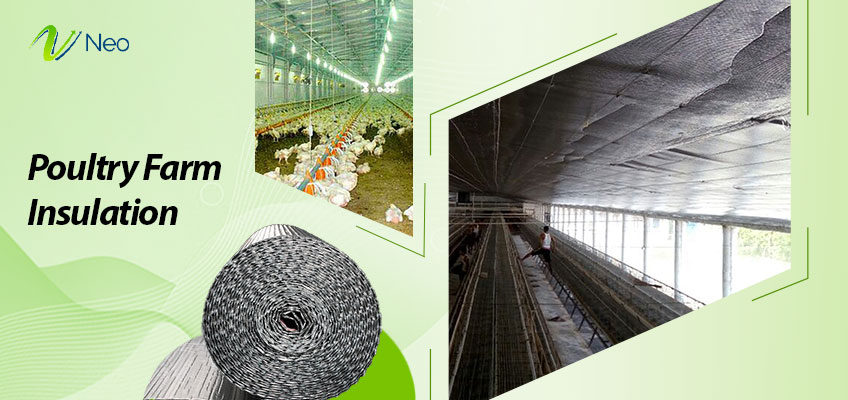 Poultry Farm Insulation